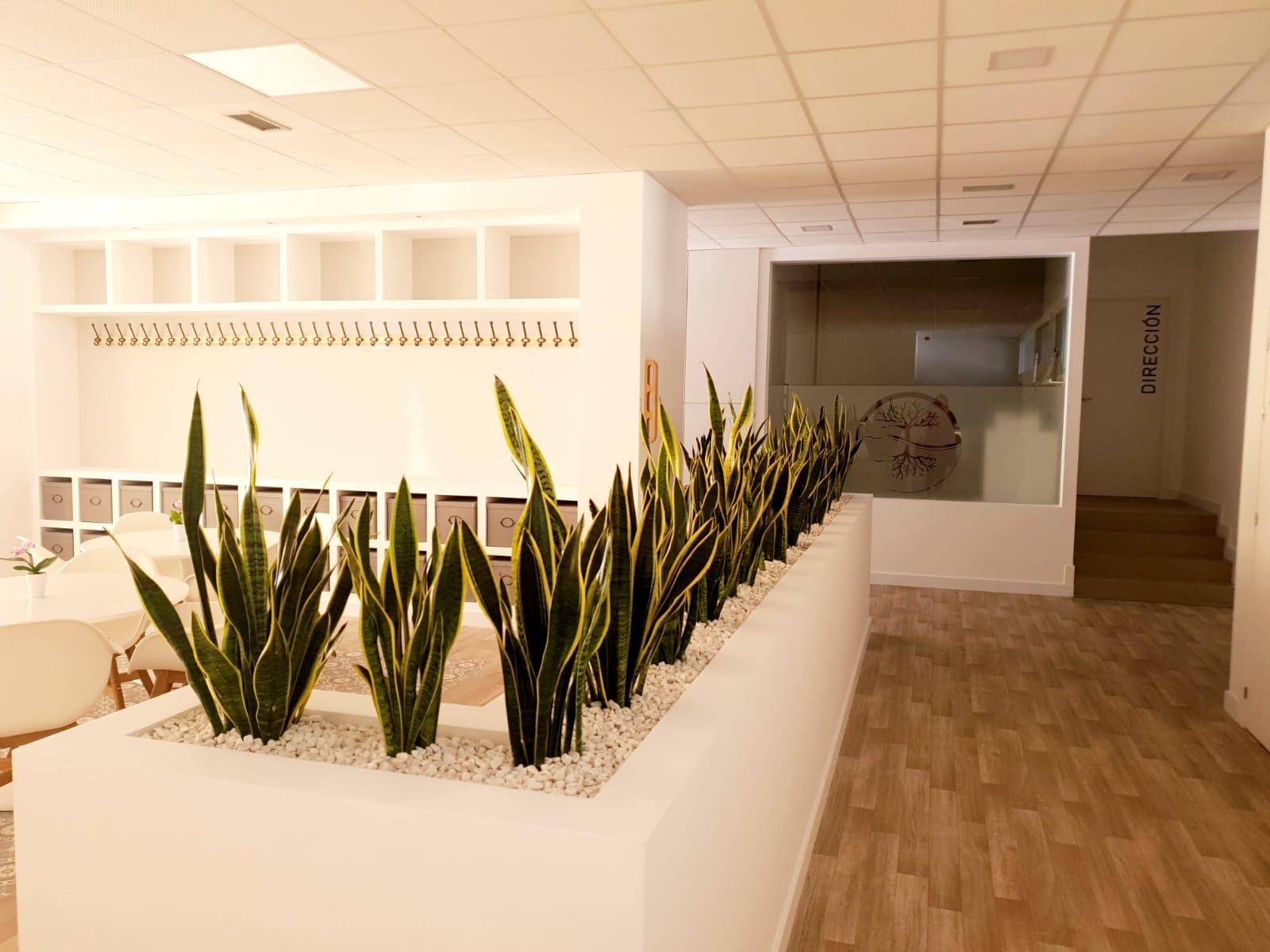 coidando de vos centro de dia prueba